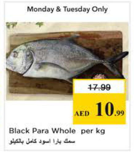 available at نستو هايبرماركت in الإمارات العربية المتحدة , الامارات - الشارقة / عجمان