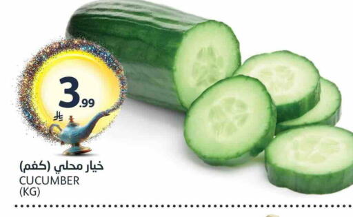 Cucumber available at AlJazera Shopping Center in KSA, Saudi Arabia, Saudi - Riyadh