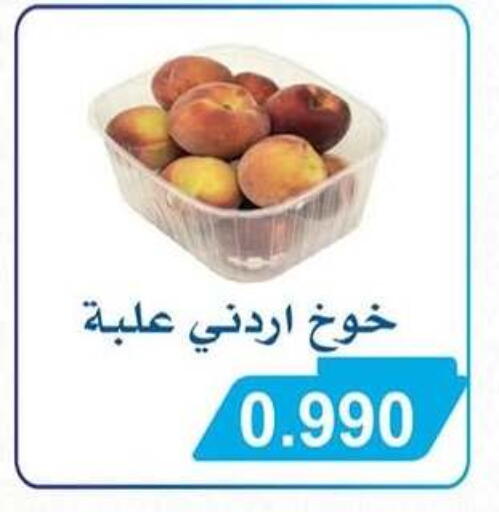 available at جمعية سلوى التعاونية in الكويت - مدينة الكويت