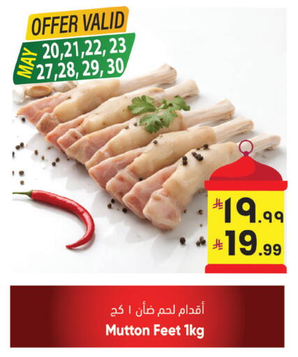 available at ستي فلاور in مملكة العربية السعودية, السعودية, سعودية - سكاكا