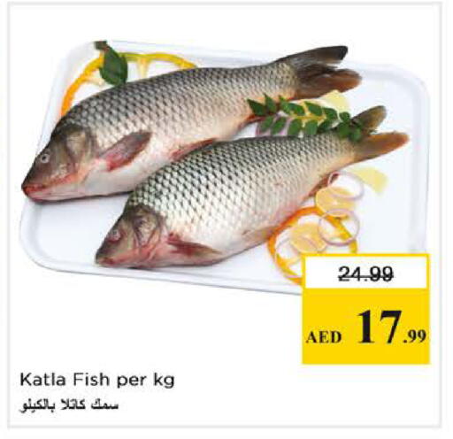available at نستو هايبرماركت in الإمارات العربية المتحدة , الامارات - دبي