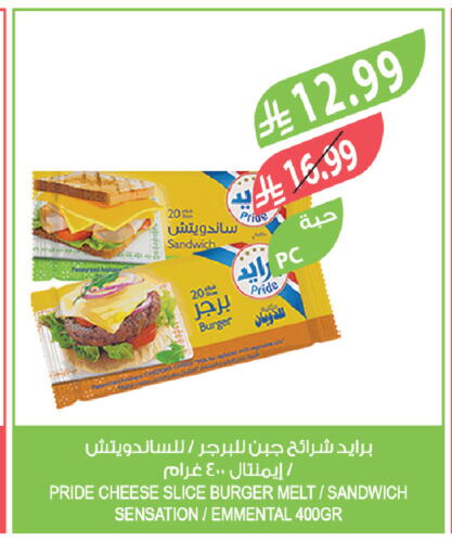 available at المزرعة in مملكة العربية السعودية, السعودية, سعودية - تبوك