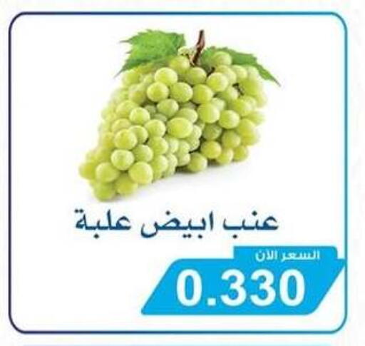 available at جمعية سلوى التعاونية in الكويت - مدينة الكويت