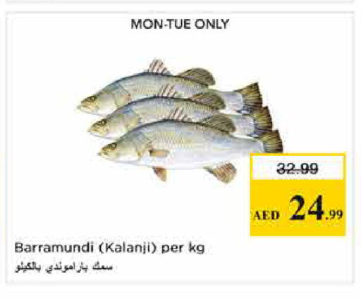 available at نستو هايبرماركت in الإمارات العربية المتحدة , الامارات - الشارقة / عجمان