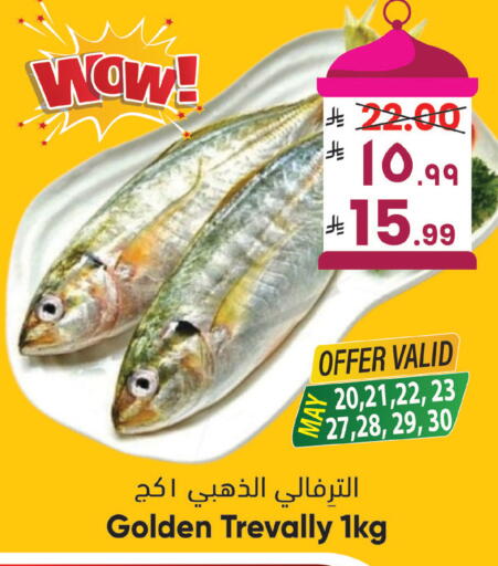 available at City Flower in KSA, Saudi Arabia, Saudi - Sakaka