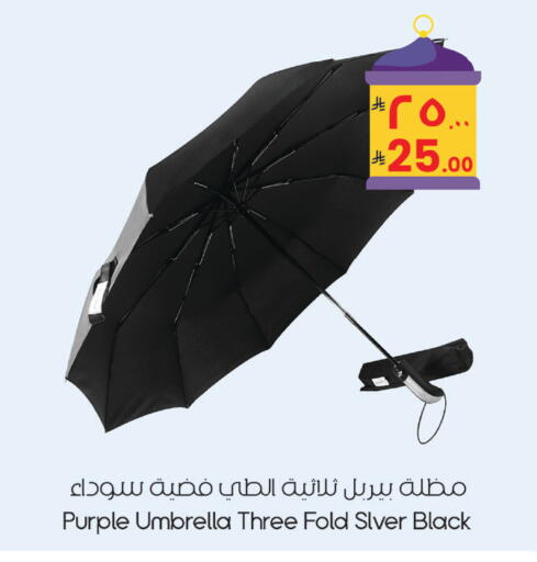 available at ستي فلاور in مملكة العربية السعودية, السعودية, سعودية - نجران