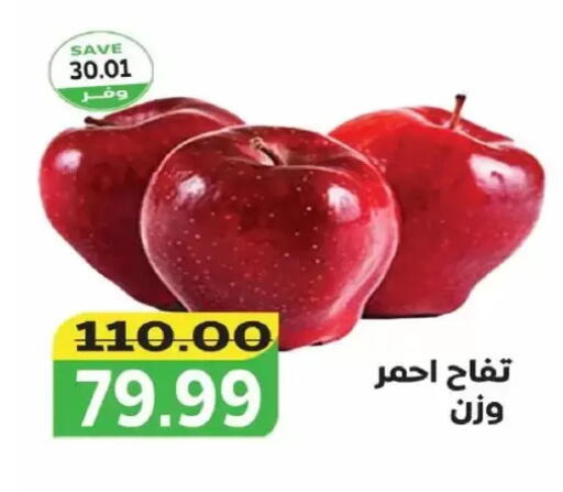 available at ذا مارت in Egypt - القاهرة