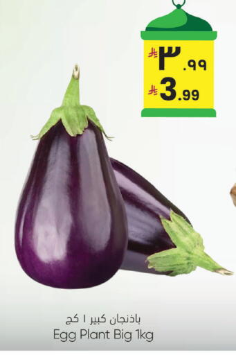 available at ستي فلاور in مملكة العربية السعودية, السعودية, سعودية - سكاكا