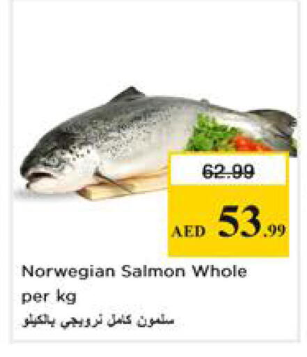 available at نستو هايبرماركت in الإمارات العربية المتحدة , الامارات - الشارقة / عجمان