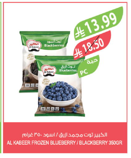 Blueberry BlueBerry Blackberry available at Farm  in KSA, Saudi Arabia, Saudi - Tabuk