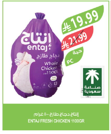available at المزرعة in مملكة العربية السعودية, السعودية, سعودية - سيهات