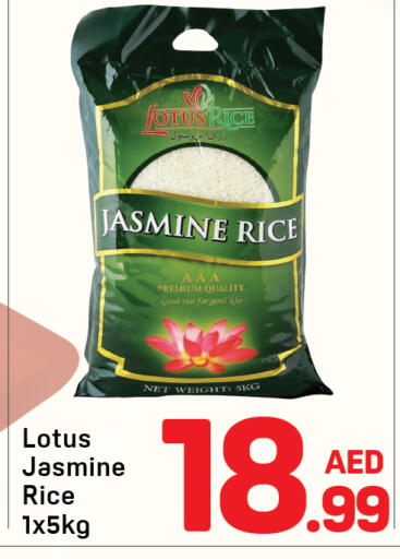 available at Day to Day Department Store in UAE - Dubai