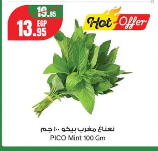 Mint from Egypt available at Géant Egypt in Egypt - Cairo