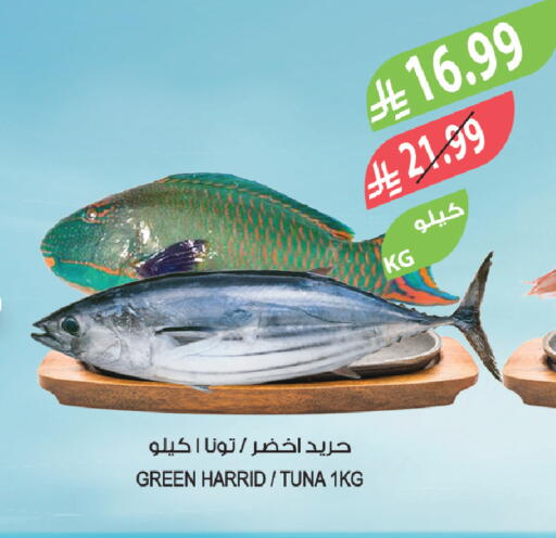 available at المزرعة in مملكة العربية السعودية, السعودية, سعودية - سيهات