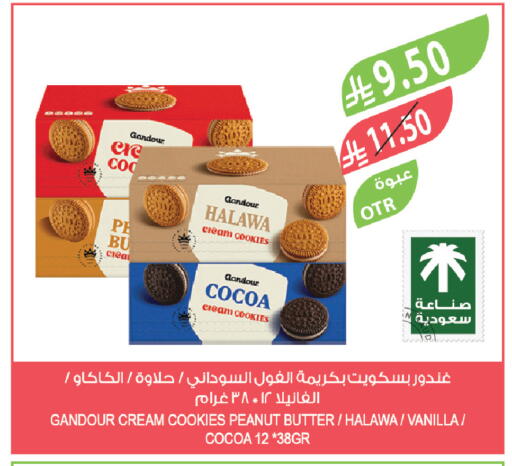 Vanilla available at Farm  in KSA, Saudi Arabia, Saudi - Tabuk