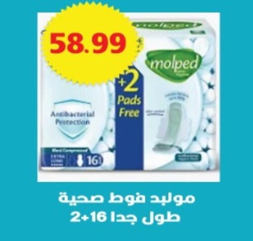available at يورومارشيه in Egypt - القاهرة
