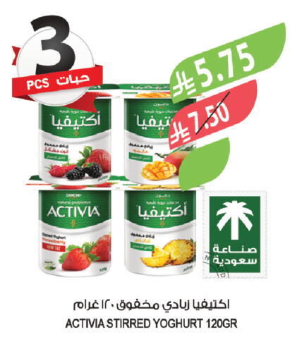 Strawberry available at المزرعة in مملكة العربية السعودية, السعودية, سعودية - ينبع