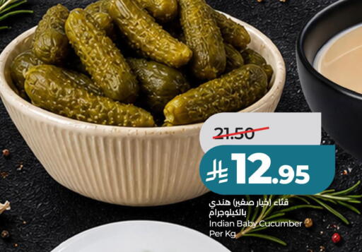 Cucumber available at لولو هايبرماركت in مملكة العربية السعودية, السعودية, سعودية - حفر الباطن