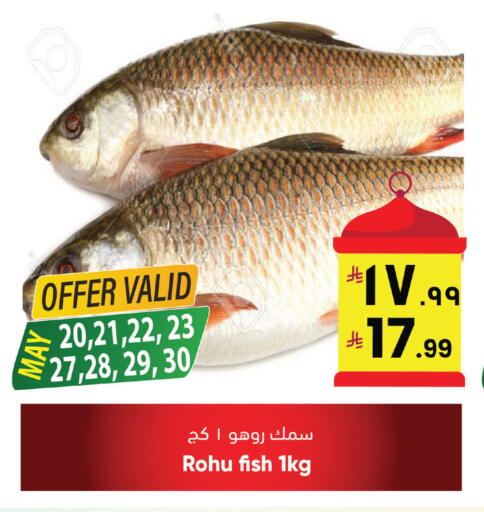 available at ستي فلاور in مملكة العربية السعودية, السعودية, سعودية - نجران