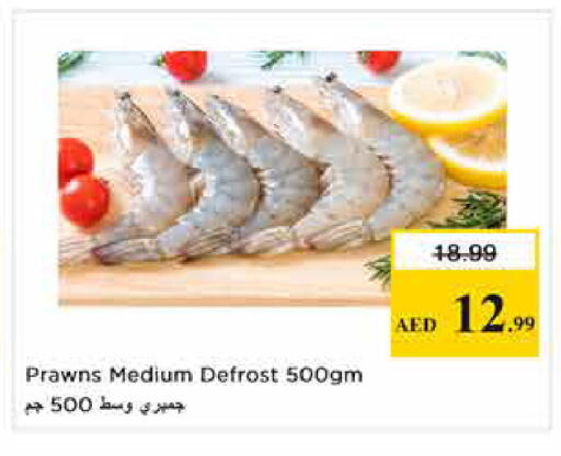 available at نستو هايبرماركت in الإمارات العربية المتحدة , الامارات - الشارقة / عجمان