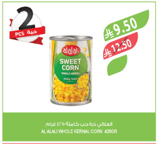 available at Farm  in KSA, Saudi Arabia, Saudi - Al-Kharj