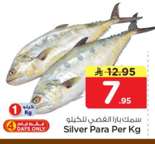 available at نستو in مملكة العربية السعودية, السعودية, سعودية - بريدة