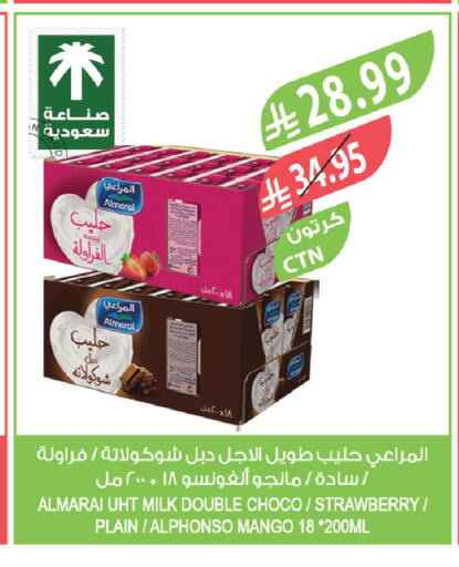 Strawberry Mango available at Farm  in KSA, Saudi Arabia, Saudi - Tabuk