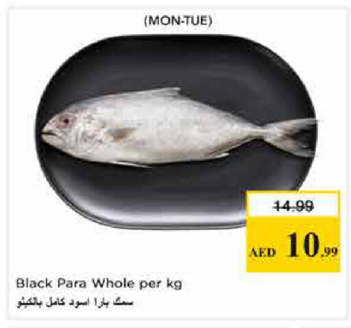 available at نستو هايبرماركت in الإمارات العربية المتحدة , الامارات - الشارقة / عجمان