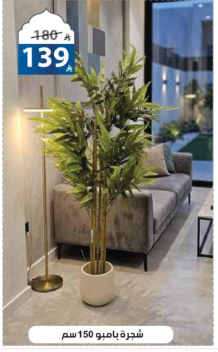 available at الهدايا سنتر in مملكة العربية السعودية, السعودية, سعودية - مكة المكرمة