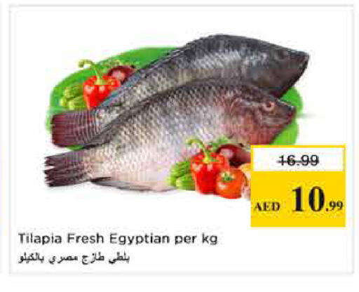 available at نستو هايبرماركت in الإمارات العربية المتحدة , الامارات - الشارقة / عجمان