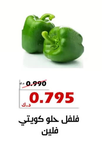 available at جمعية الخالدية التعاونية in الكويت - مدينة الكويت