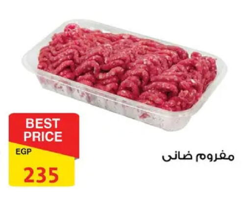 available at فتح الله in Egypt - القاهرة