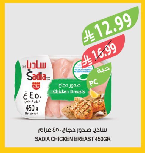 available at المزرعة in مملكة العربية السعودية, السعودية, سعودية - تبوك