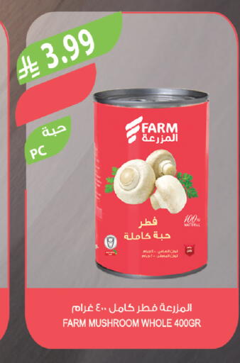 Mushroom available at Farm  in KSA, Saudi Arabia, Saudi - Al-Kharj