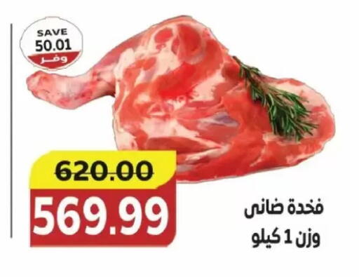 available at ذا مارت in Egypt - القاهرة