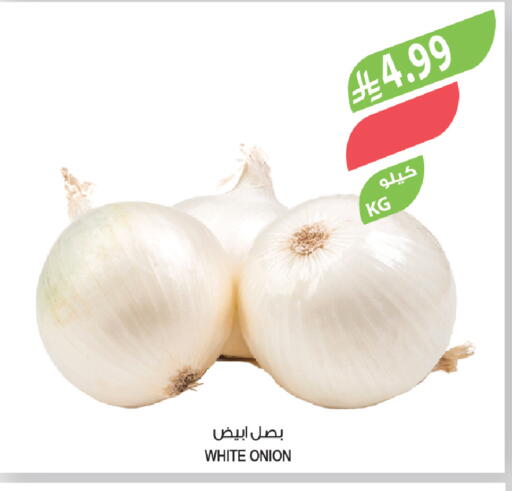 Onion available at المزرعة in مملكة العربية السعودية, السعودية, سعودية - الجبيل‎