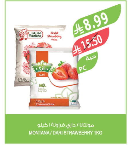 Strawberry available at Farm  in KSA, Saudi Arabia, Saudi - Tabuk