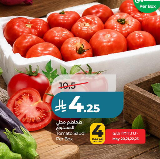 Tomato from Saudi Arabia available at لولو هايبرماركت in مملكة العربية السعودية, السعودية, سعودية - حفر الباطن
