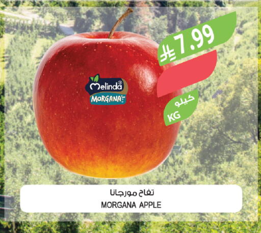 Apple available at المزرعة in مملكة العربية السعودية, السعودية, سعودية - سيهات