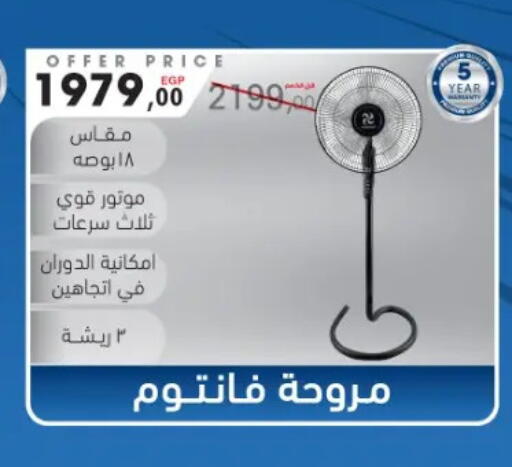 available at El Mahlawy Stores in Egypt - Cairo