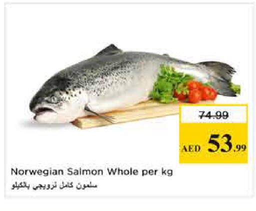 available at نستو هايبرماركت in الإمارات العربية المتحدة , الامارات - الشارقة / عجمان