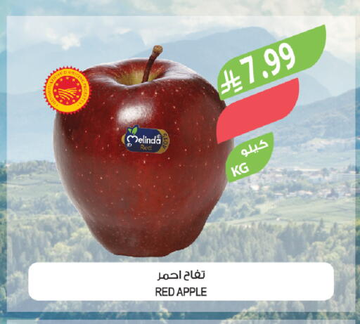 Apple available at المزرعة in مملكة العربية السعودية, السعودية, سعودية - سيهات
