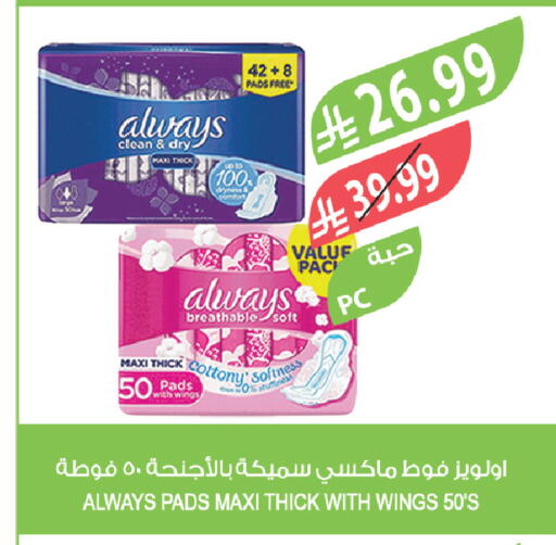 available at المزرعة in مملكة العربية السعودية, السعودية, سعودية - سيهات