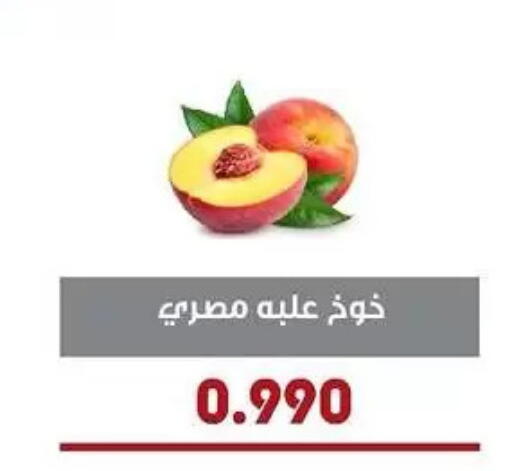 available at جمعية السرة التعاونية in الكويت - مدينة الكويت