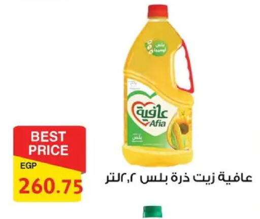 available at فتح الله in Egypt - القاهرة
