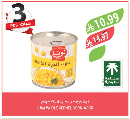 available at Farm  in KSA, Saudi Arabia, Saudi - Al-Kharj