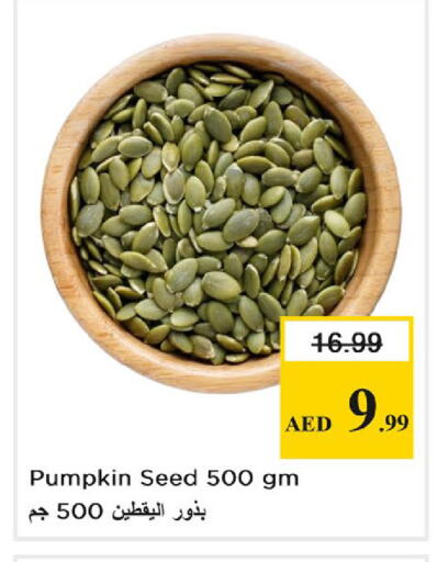 Pumpkin available at نستو هايبرماركت in الإمارات العربية المتحدة , الامارات - دبي