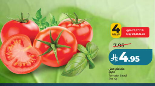 Tomato from Saudi Arabia available at لولو هايبرماركت in مملكة العربية السعودية, السعودية, سعودية - ينبع