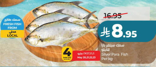 available at لولو هايبرماركت in مملكة العربية السعودية, السعودية, سعودية - حفر الباطن