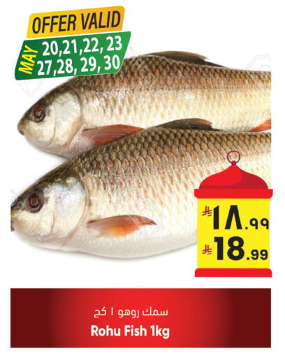 available at City Flower in KSA, Saudi Arabia, Saudi - Sakaka